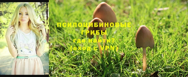 мескалин Абаза