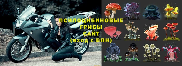 марки lsd Алексеевка